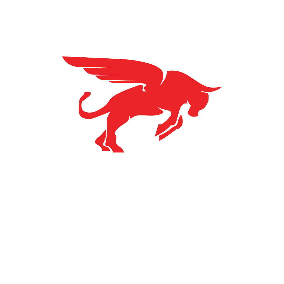 Bullshive Academy